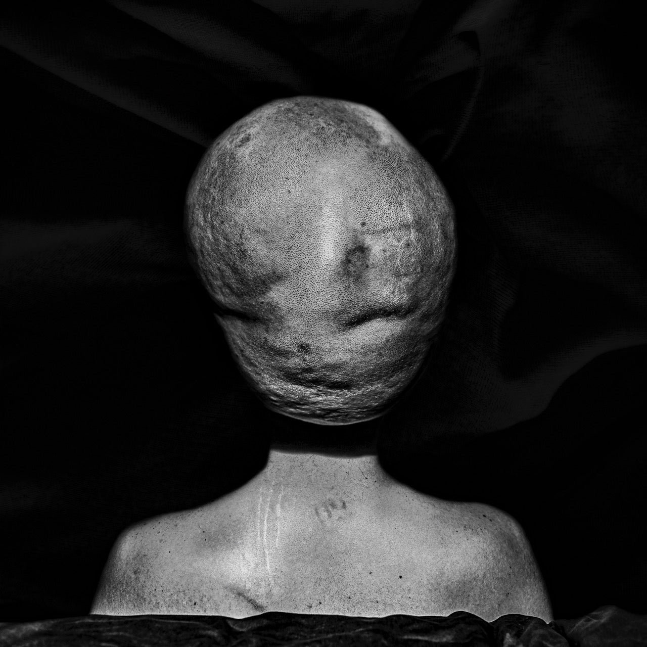 A CARNAL DISSECTION — Full-Day Art Commission